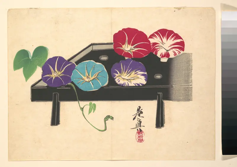 Morning Glories