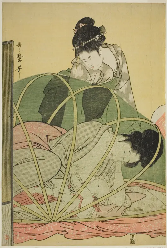 Mosquito Net for a Baby