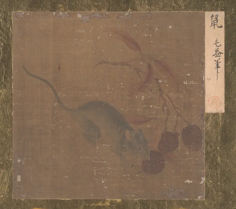 Mouse Eating Lichee Fruit