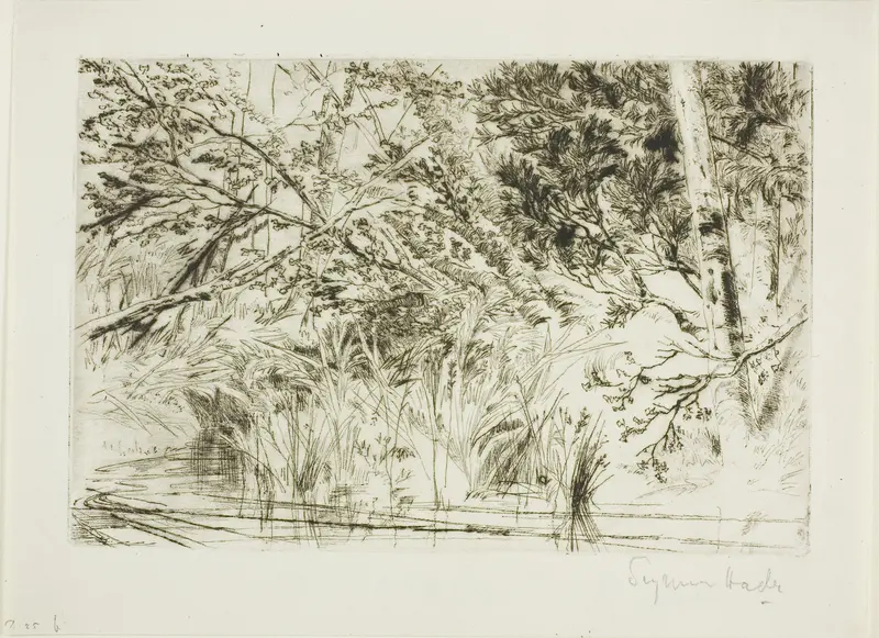 Mouth of a Brook, No. II