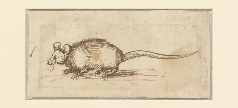 Muis Wall Art by Unknown - High-Resolution Digital Print