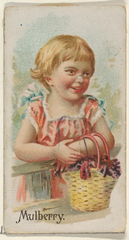 Mulberry, from the Fruits series (N12) for Allen & Ginter Cigarettes Brands Wall Art by Allen & Ginter - High-Resolution Digital Print