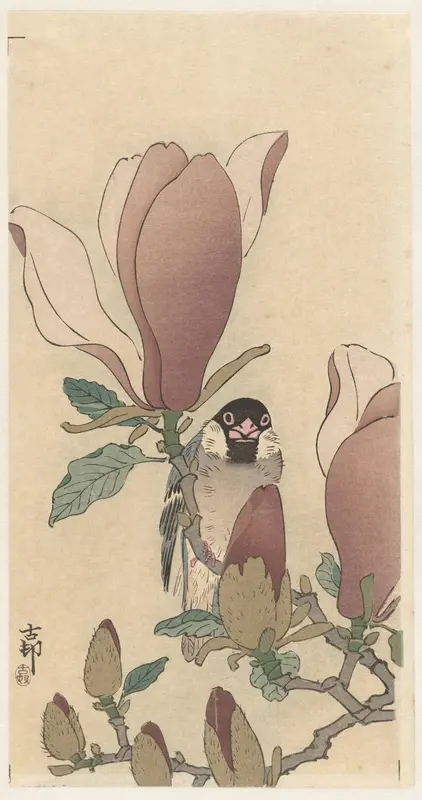 Mus op bloeiende magnolia tak Wall Art by Unknown - High-Resolution Digital Print
