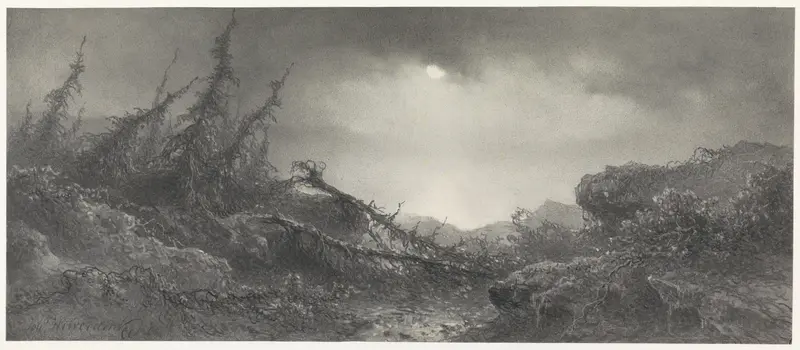 Na de Storm Wall Art by Johannes Hilverdink - High-Resolution Digital Print