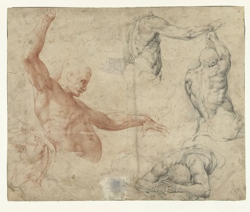 Naaktstudies van een man Wall Art by Battista Franco - High-Resolution Digital Print