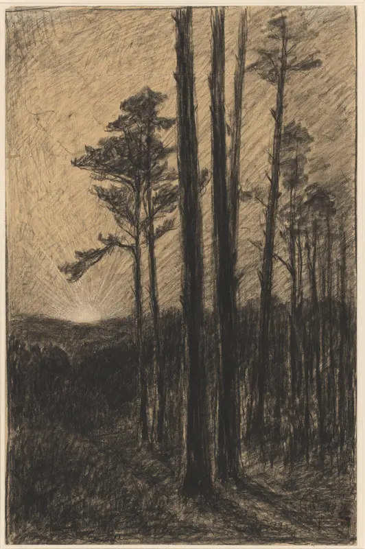 Naaldwoud met ondergaande zon Wall Art by Carel Nicolaas Storm van 's-Gravesande - High-Resolution Digital Print