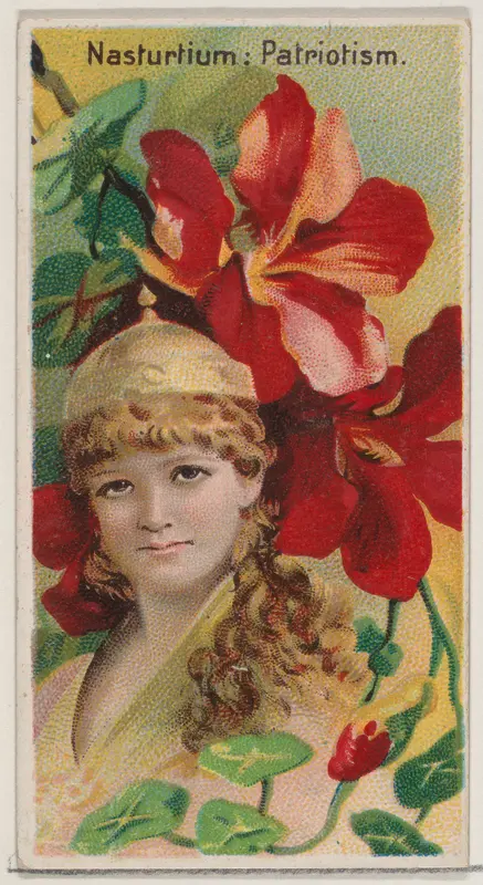 Nasturtium: Patriotism, from the series Floral Beauties and Language of Flowers (N75) for Duke brand cigarettes Wall Art by American Tobacco Company - High-Resolution Digital Print