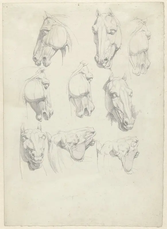 Negen anatomische studies van een paardenhoofd Wall Art by Hendrik Voogd - High-Resolution Digital Print