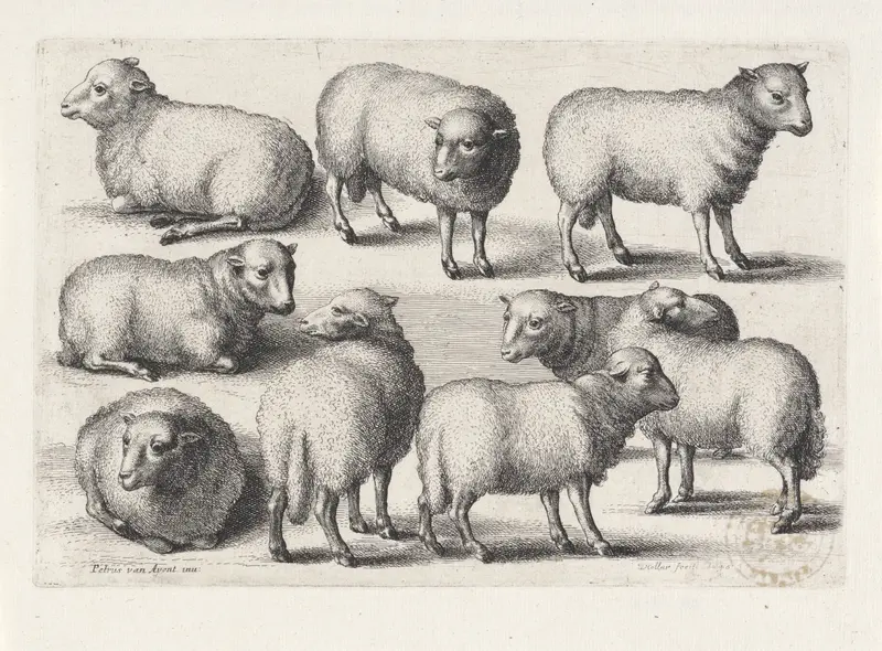 Negen schapen Wall Art by Wenceslaus Hollar - High-Resolution Digital Print