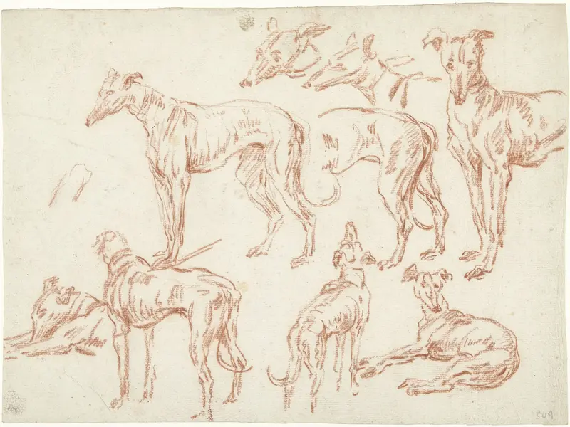 Negen studies van een hazewindhond Wall Art by unknown - High-Resolution Digital Print