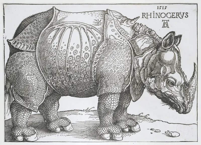 Neushoorn Wall Art by Hendrick Hondius (I) - High-Resolution Digital Print
