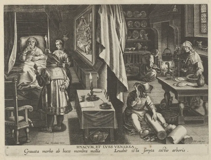 New Inventions of Modern Times [Nova Reperta], The Discovery of Guaicum as a Cure for Veneral Infection, plate 6 Wall Art by Jan Collaert I - High-Resolution Digital Print
