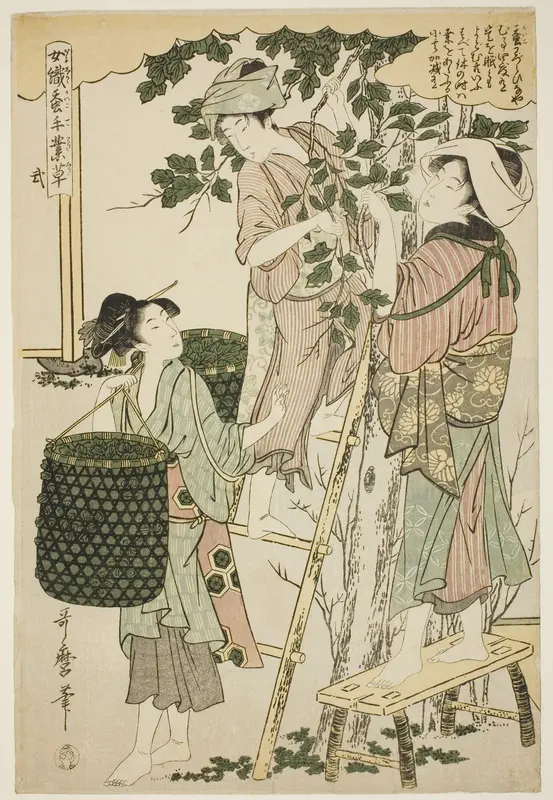 No. 2 (ni), from the series "Women Engaged in the Sericulture Industry (Joshoku kaiko tewaza-gusa)"