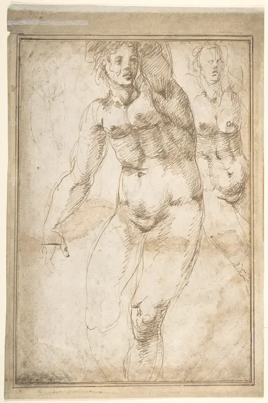 Nude Figure Studies (recto); Sheet of Figure Studies (verso) Wall Art by Anonymous, Italian, 16th century - High-Resolution Digital Print