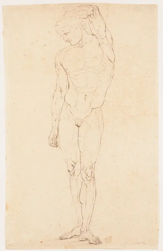 Nude Man Standing with One Arm Raised Wall Art by Anonymous, Italian, early 19th century - High-Resolution Digital Print