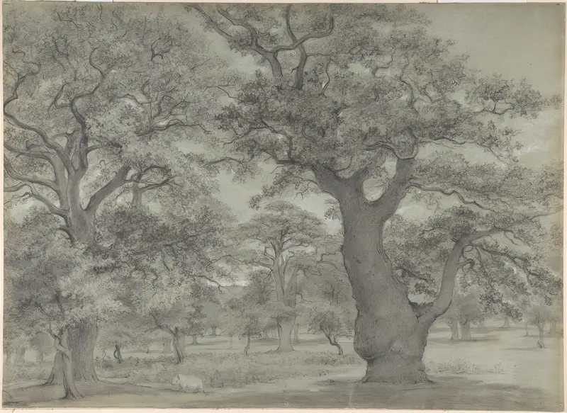 Oak forest with a pig Wall Art by Anonymous, British, 19th century - High-Resolution Digital Print