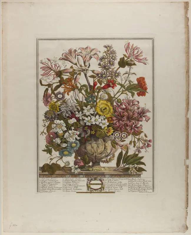 October, from Twelve Months of Flowers