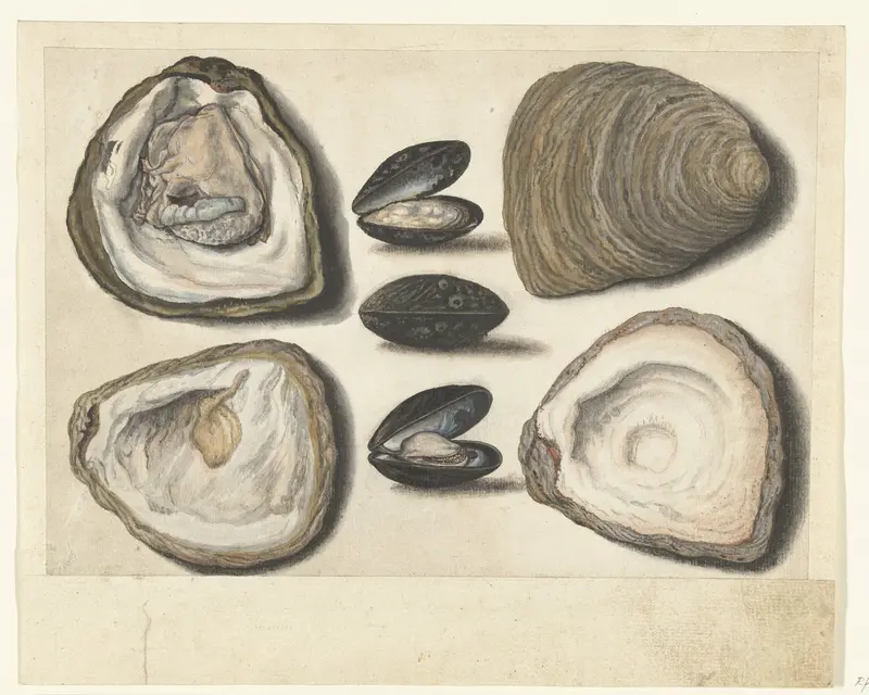 Oesters en mosselen Wall Art by anonymous - High-Resolution Digital Print