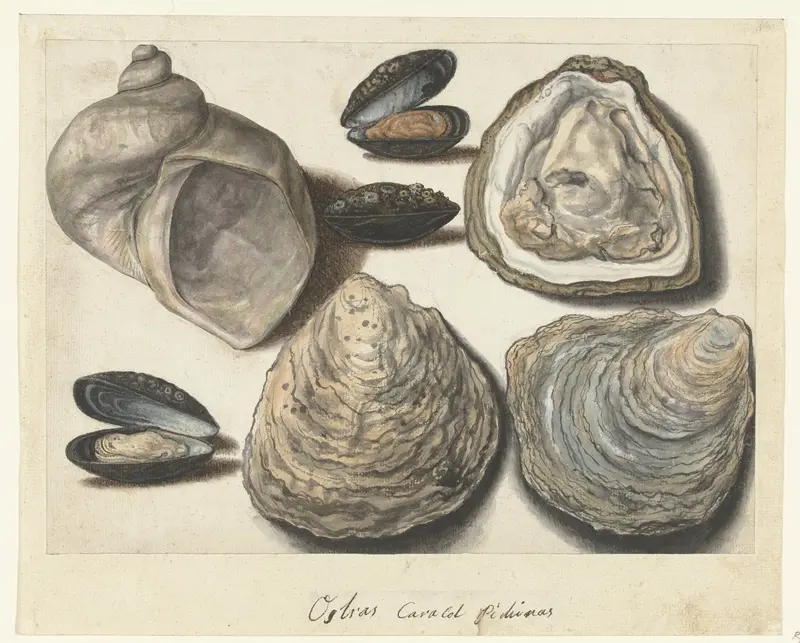 Oesters, Mosselen en Maanhoorn Wall Art by anonymous - High-Resolution Digital Print