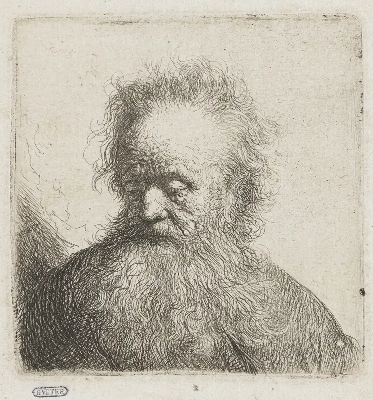 Old Man with a Flowing Beard Wall Art by Unknown - High-Resolution Digital Print