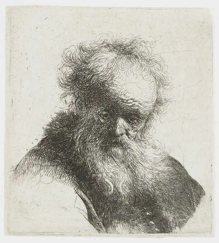 Old Man with a Flowing Beard and White Sleeve Wall Art by Rembrandt van Rijn - High-Resolution Digital Print