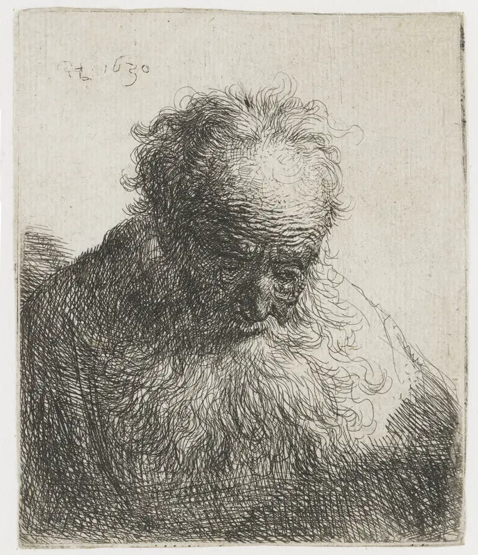 Old Man with a Flowing Beard, the Left Shoulder Unshaded Wall Art by Unknown - High-Resolution Digital Print
