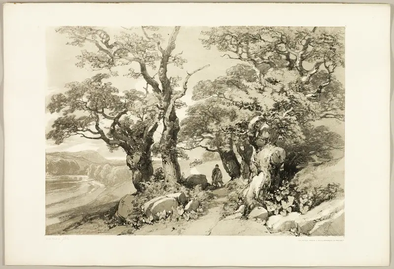 Old Oaks, from The Park and the Forest Wall Art by James Duffield Harding - High-Resolution Digital Print