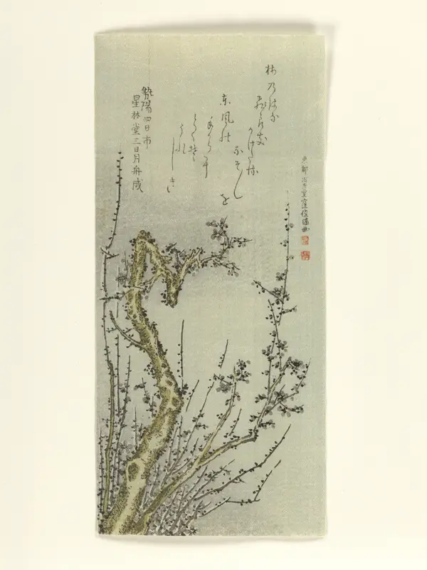 Old Plum Tree