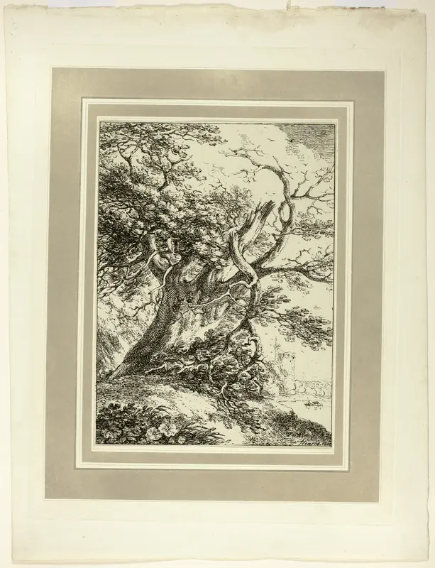 Old Tree, from the first issue of Specimens of Polyautography