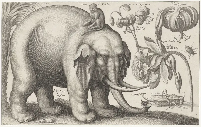 Olifant, aap, bloemen en insecten Wall Art by Unknown - High-Resolution Digital Print