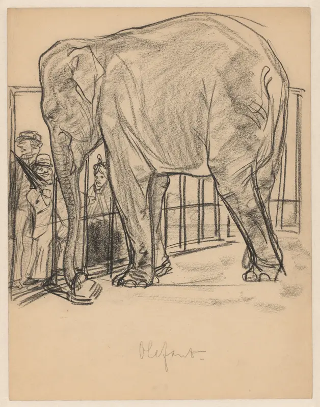 Olifant in een dierentuin Wall Art by Willem Vaarzon Morel - High-Resolution Digital Print