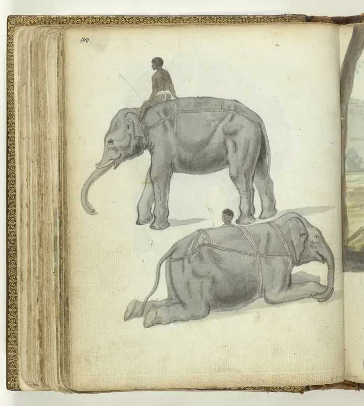 Olifant in tuig staand en liggend. Wall Art by Jan Brandes - High-Resolution Digital Print