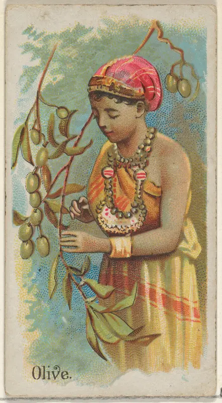 Olive, from the Fruits series (N12) for Allen & Ginter Cigarettes Brands Wall Art by Allen & Ginter - High-Resolution Digital Print