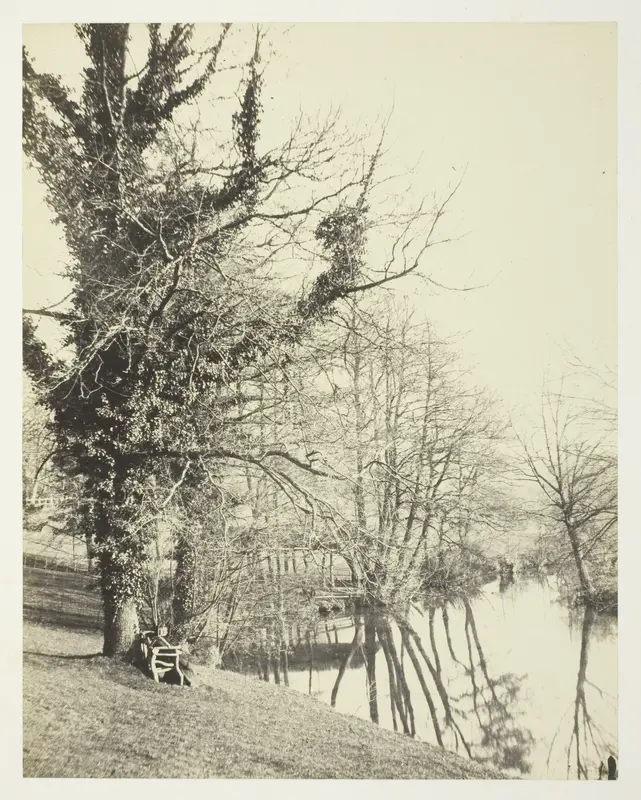 On the Mole