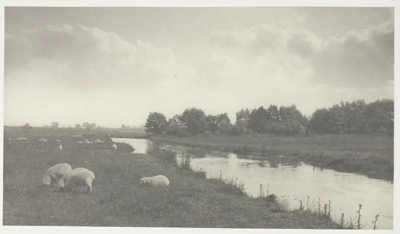 On the River Bure