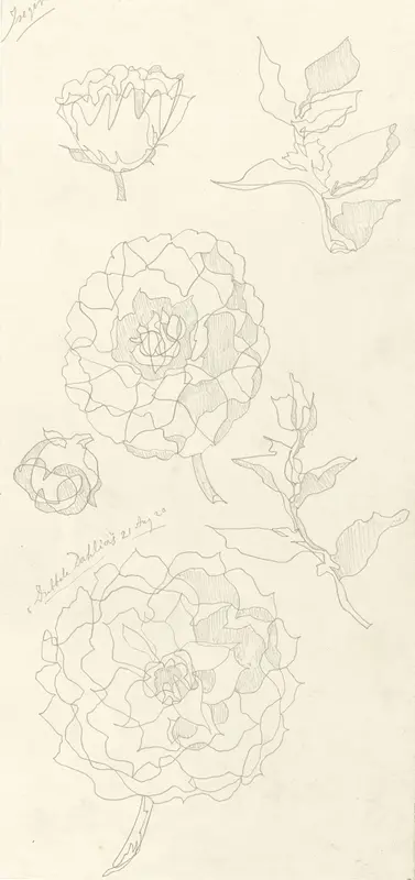 Ontwerp voor aardewerkdecoratie Iseger: Dubbele Dahlia's Wall Art by Theo Colenbrander - High-Resolution Digital Print