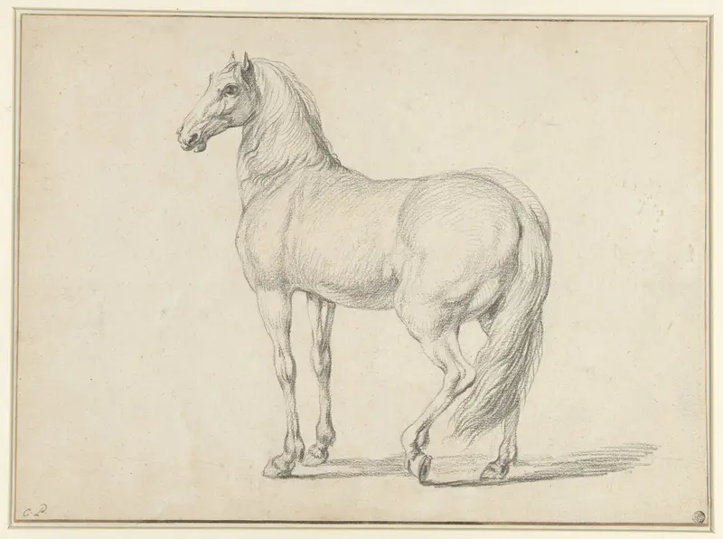 Ontzadeld paard, naar links Wall Art by Charles Parrocel - High-Resolution Digital Print