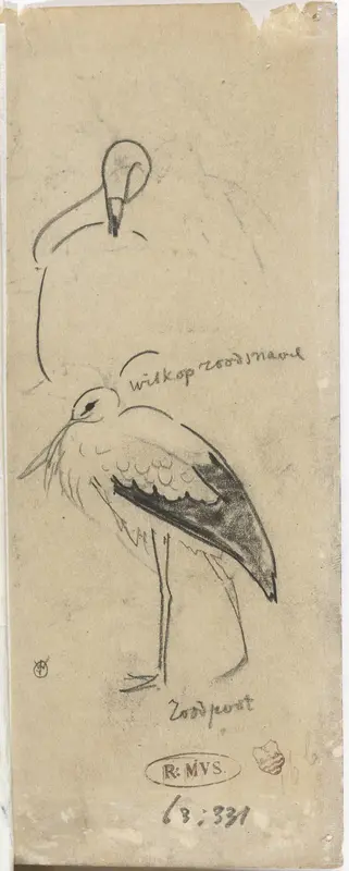 Ooievaar Wall Art by Gerrit Willem Dijsselhof - High-Resolution Digital Print