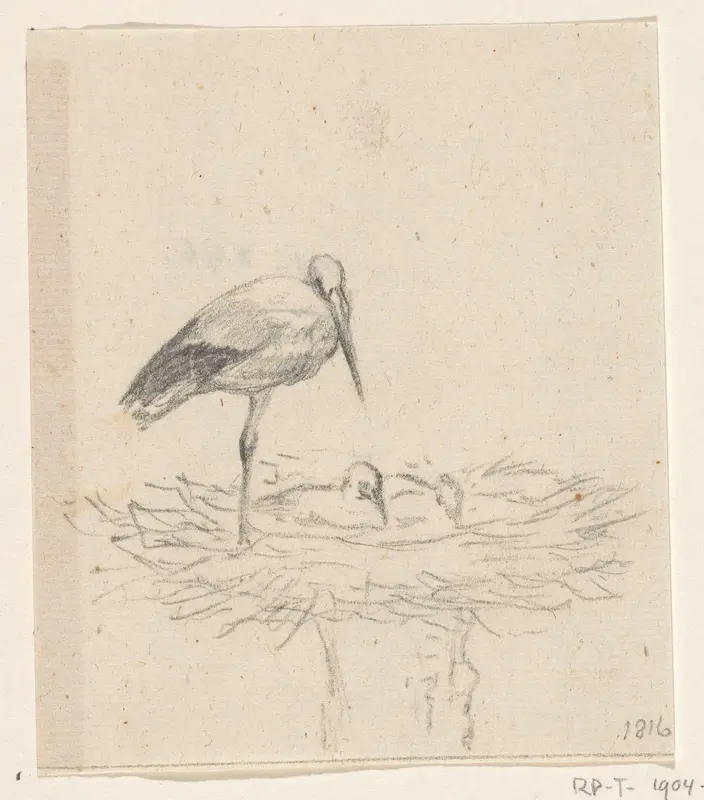 Ooievaar op nest Wall Art by Jean Bernard - High-Resolution Digital Print