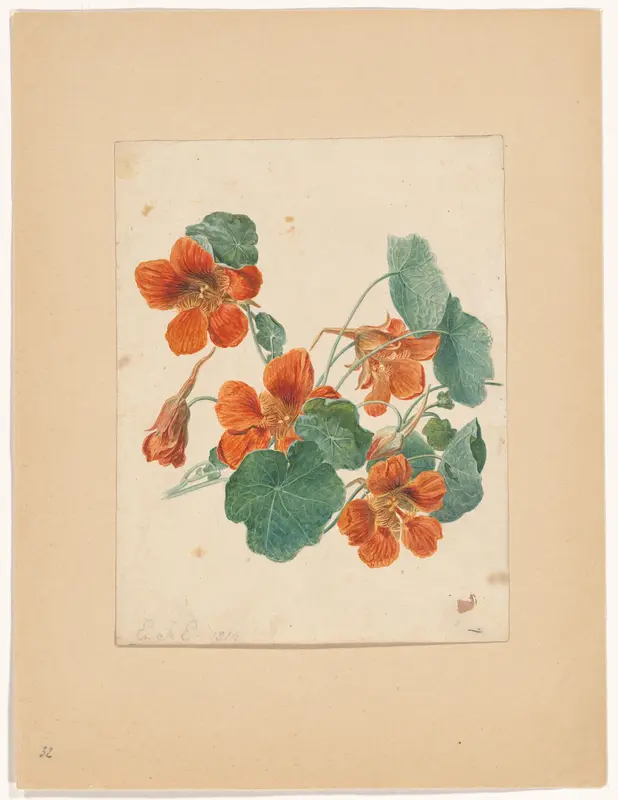 Oost Indische Kers Wall Art by anonymous - High-Resolution Digital Print