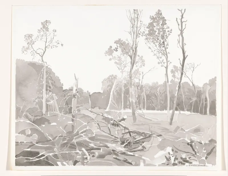 Open plek in een bos met dood hout en enkele bomen Wall Art by Unknown - High-Resolution Digital Print