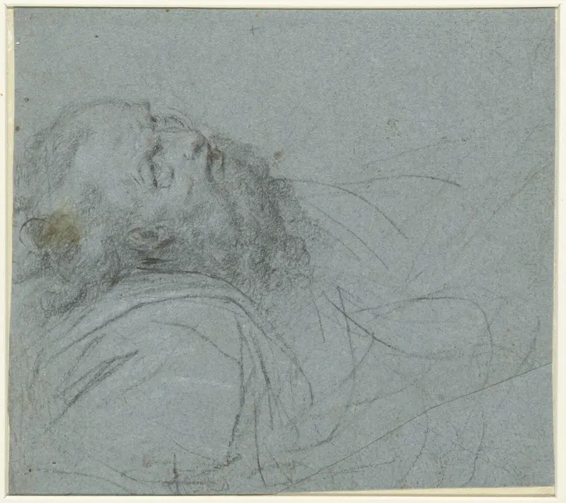 Opziende Petrus, voor de Transfiguratie Wall Art by Camillo Procaccini - High-Resolution Digital Print