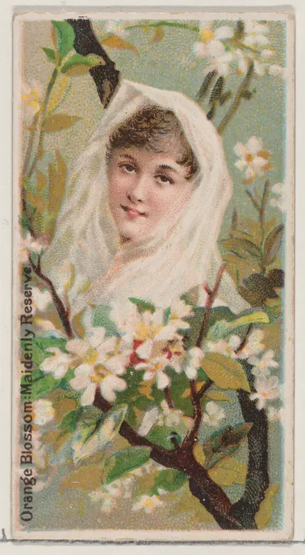 Orange Blossom: Maidenly Reserve, from the series Floral Beauties and Language of Flowers (N75) for Duke brand cigarettes Wall Art by American Tobacco Company - High-Resolution Digital Print