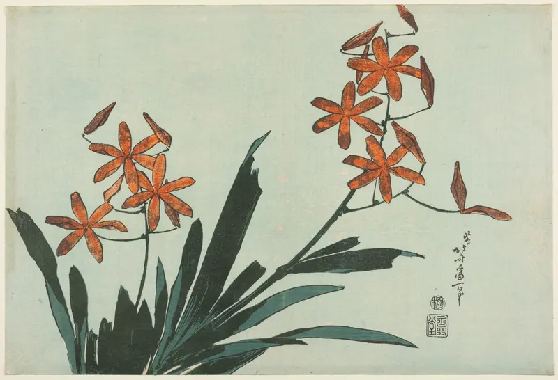 Orange Orchids, from an untitled series of flowers