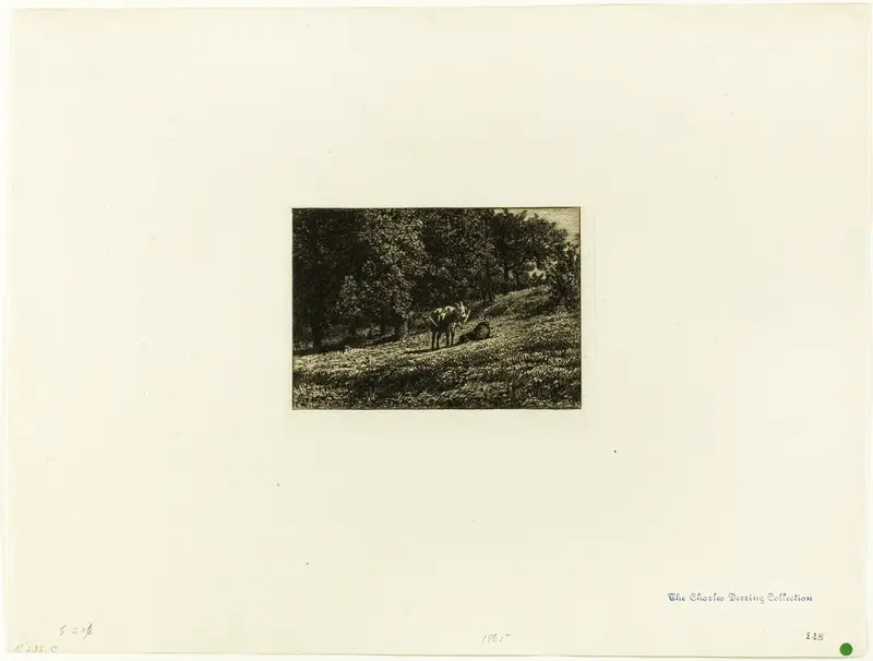 Orchard