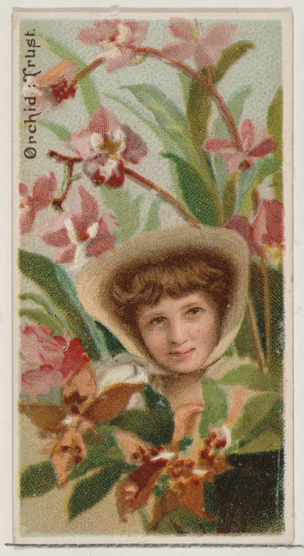 Orchid: Trust, from the series Floral Beauties and Language of Flowers (N75) for Duke brand cigarettes Wall Art by American Tobacco Company - High-Resolution Digital Print
