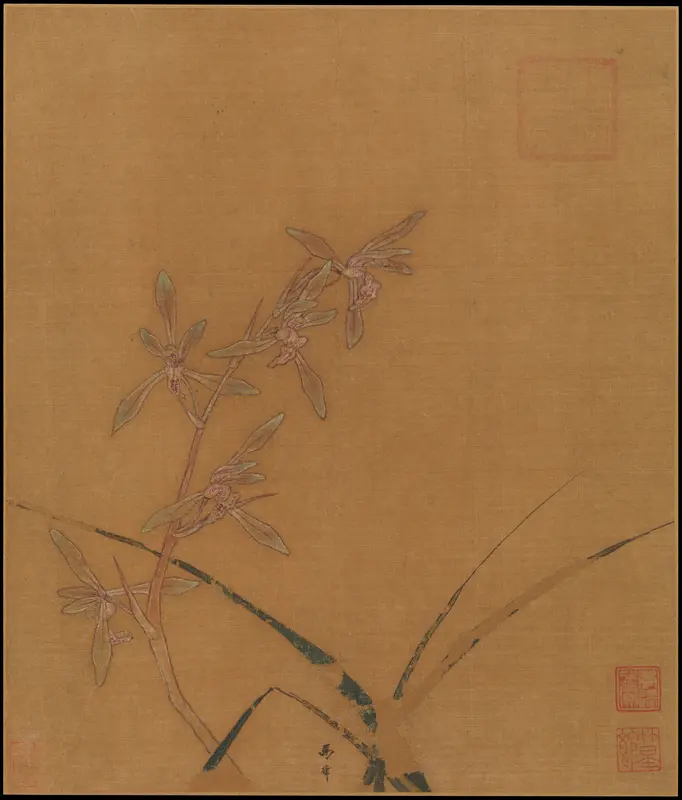 Orchids