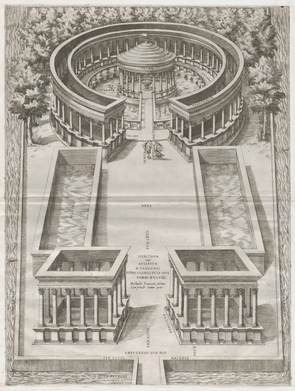Ornithon Sive Aviarum, from "Speculum Romanae Magnificentiae" Wall Art by Anonymous - High-Resolution Digital Print