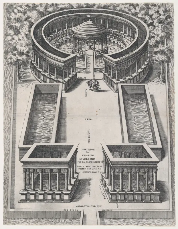 Ornithon Sive Aviarum, from "Speculum Romanae Magnificentiae" Wall Art by Giovanni Ambrogio Brambilla - High-Resolution Digital Print