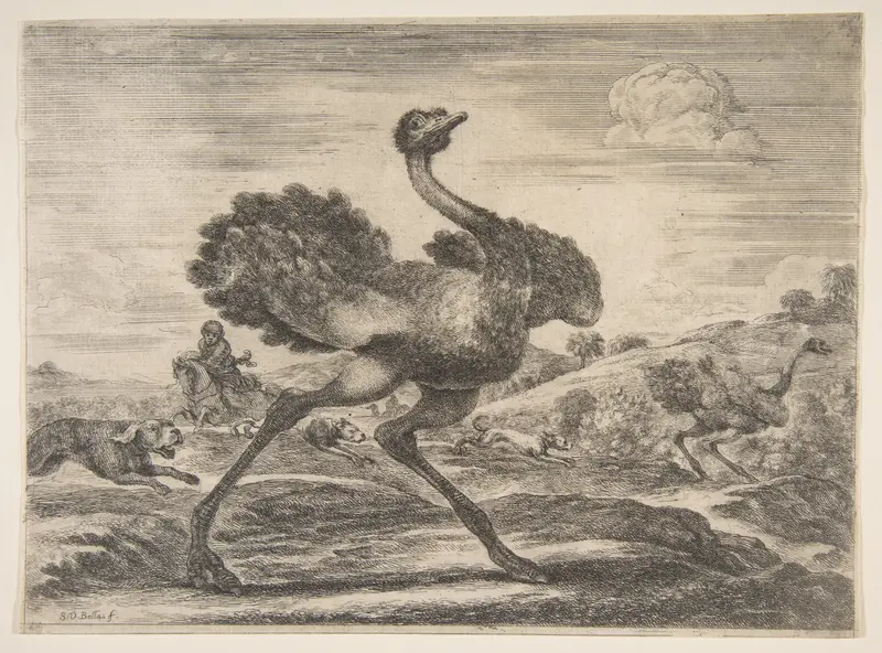 Ostrich hunt, from 'Animal hunts' (Chasses à différents animaux) Wall Art by Stefano della Bella - High-Resolution Digital Print